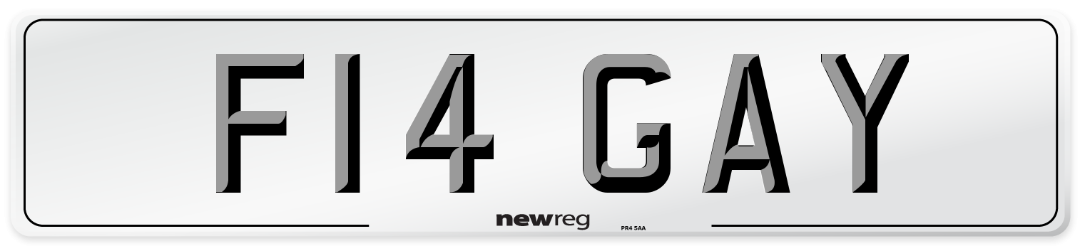F14 GAY Number Plate from New Reg
